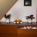 Apartamento 311