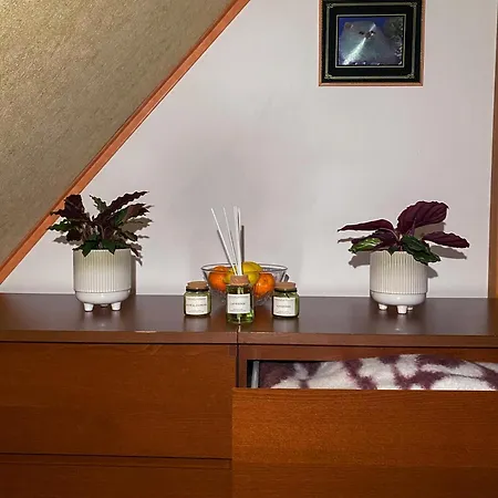 Apartman 311